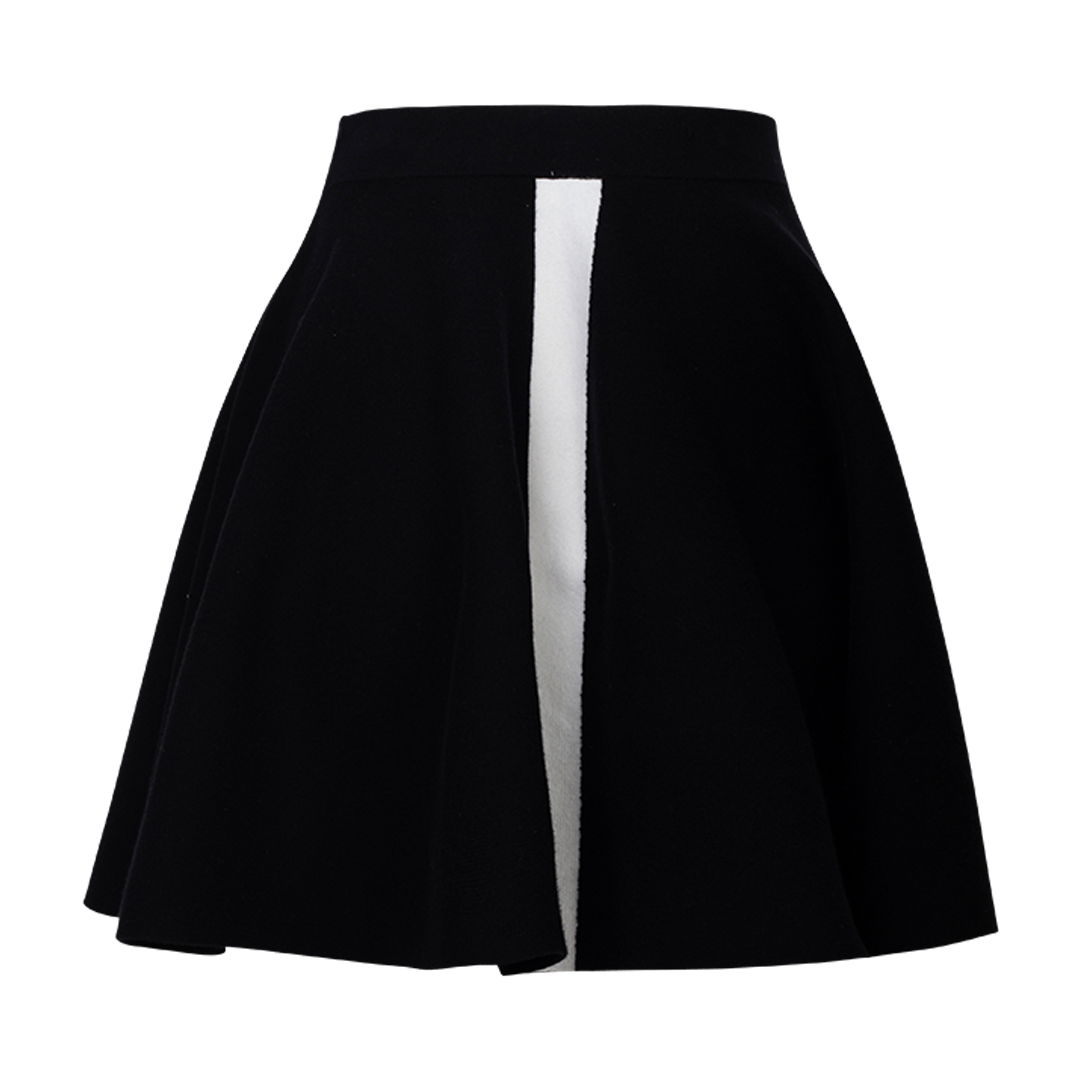 A-Line Miniskirt | Back view of A-Line Miniskirt J.W. ANDERSON