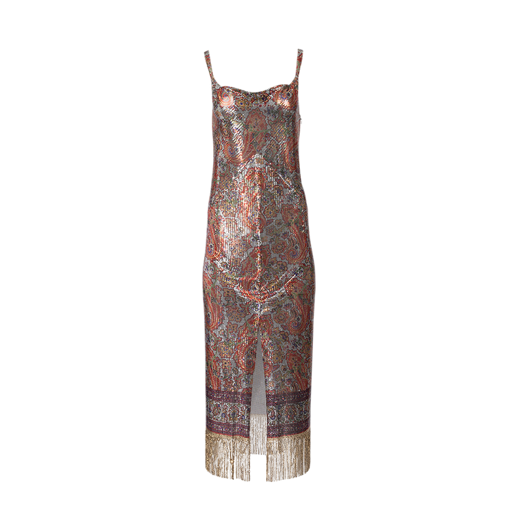 Fringed Metallic Maxi Dress | Front view of Fringed Metallic Maxi Dress RABANNE