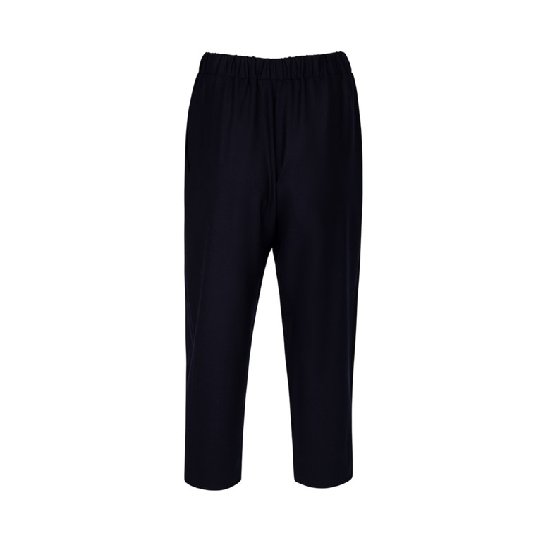 Navy Blue Carrot Pants | Front view of Navy Blue Carrot Pants VALEXTRA